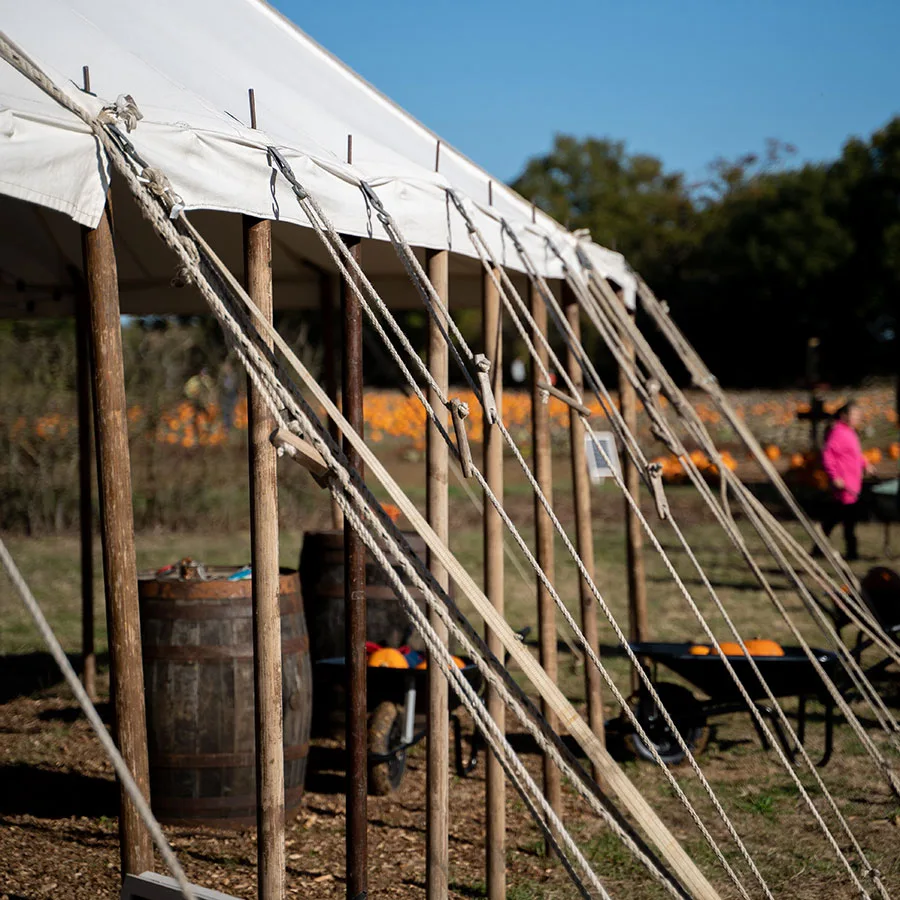 Pumpkin Picking Pumpkin Picking