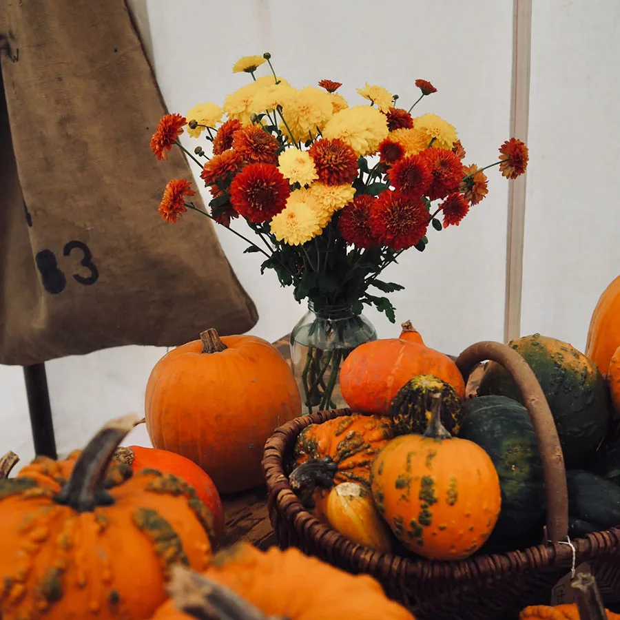 Pumpkin Picking Pumpkin Picking